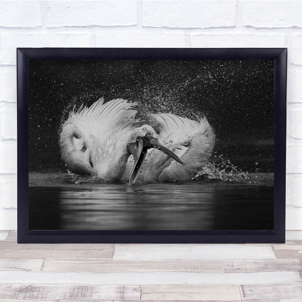 Pelican Fishing Water actions splash black and white Wall Art Print