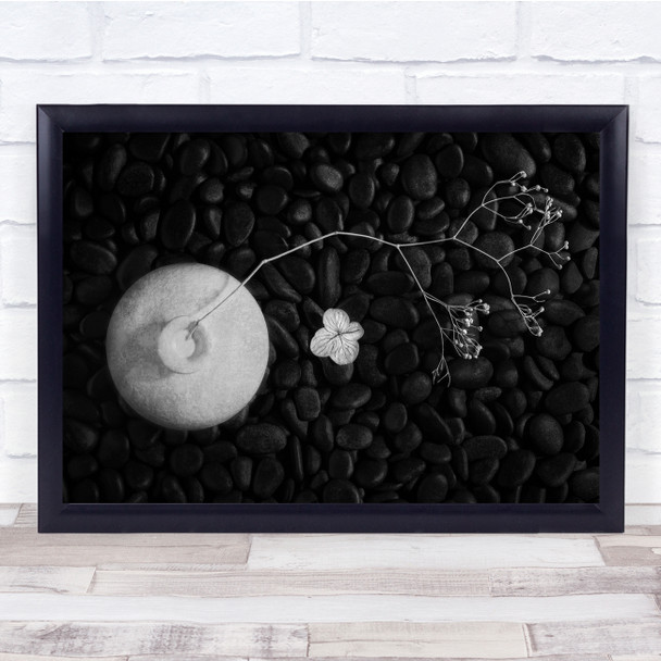 Plant Flower Black and white Still Life Pebbles Vase Wall Art Print