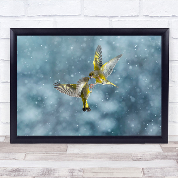 Wildlife Animals Nature Bird Greenfinch Flock Yellow Wall Art Print