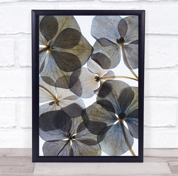 Plant Flower Botanical Petals Flora Wall Art Print - PETTEX2024486