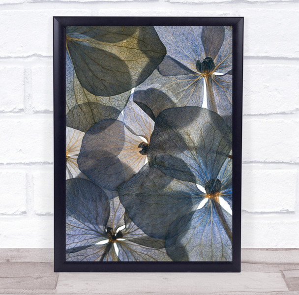 Plant Flower Botanical Petals Flora Wall Art Print - PETTEX2024512