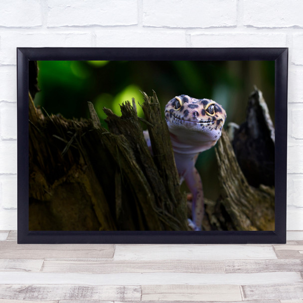 Animals Macro Reptile Lizard Gecko Bokeh Cute Smile Wall Art Print