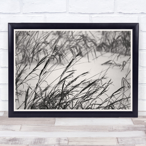 Canada Black White Ontario Wind Blowing Harsh Reeds Wall Art Print