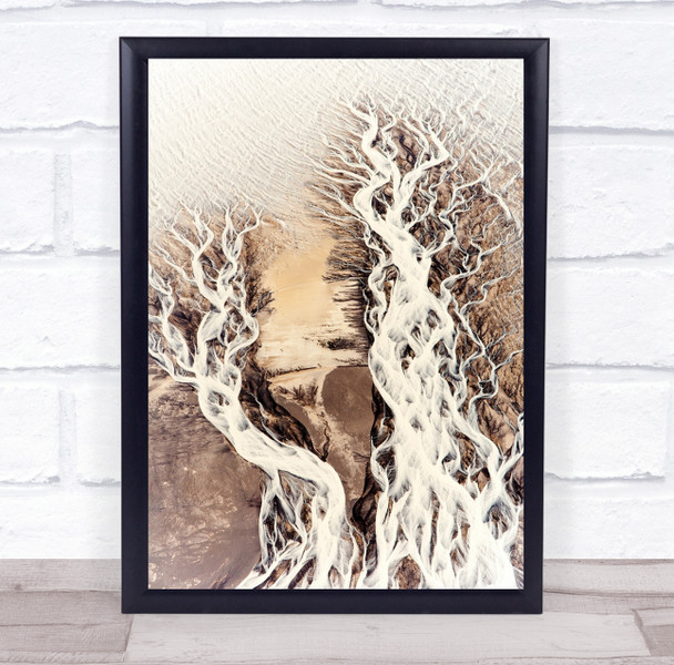 Iceland Skaftafell roots Aerial Pattern Above Delta Wall Art Print