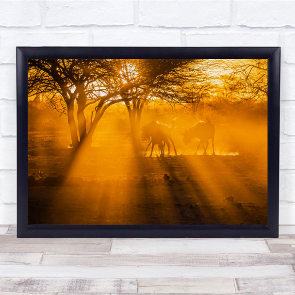 Namibia Africa Wildlife Nature Animal Fog Mist Haze Wall Art Print