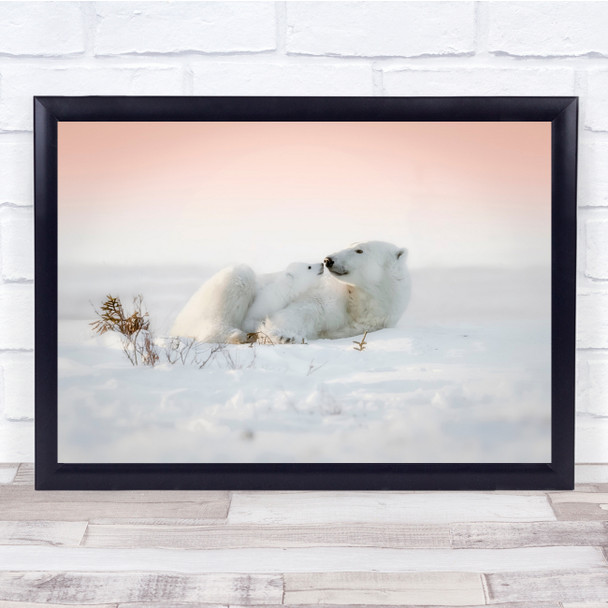 polar bear and cub nose touch sunset nature animals Wall Art Print