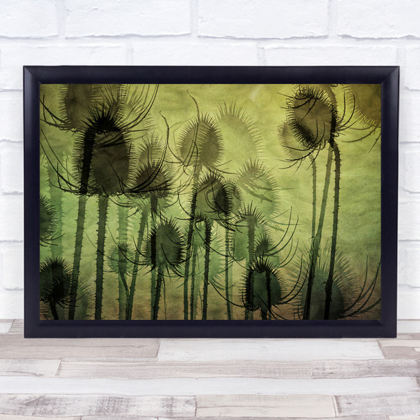 Seed Heads Wild Multiple Exposure Wild Teasel Weeds Wall Art Print