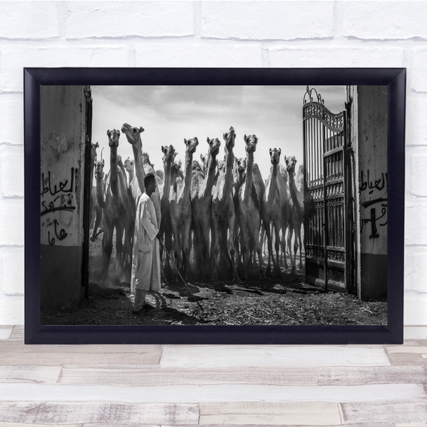 The Guardian man with camels black and white Arabic Wall Art Print