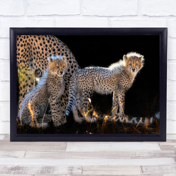 Fur Dots Dot Cheetah Animals Wildlife Outdoor Kids Wall Art Print