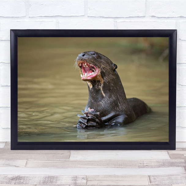 Giant Otter Mouth Angry Hungry Predator River Fish Wall Art Print