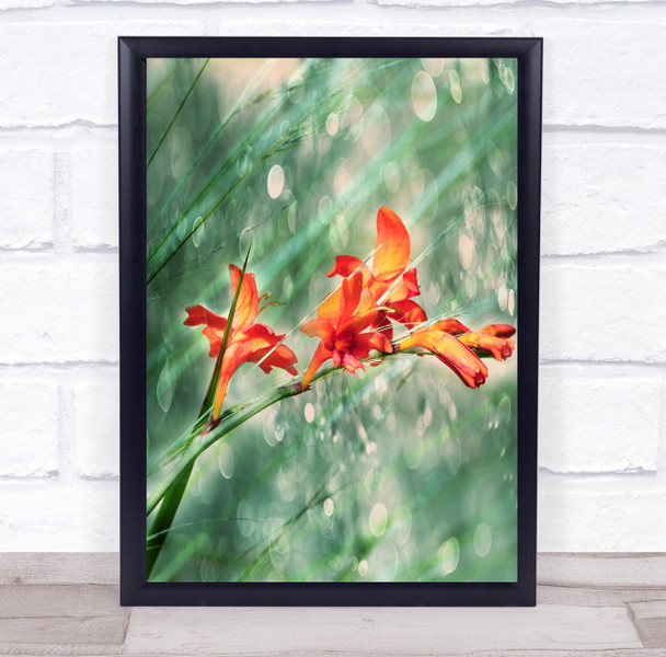In The Rain Of Light red and yellow flowers nature Wall Art Print