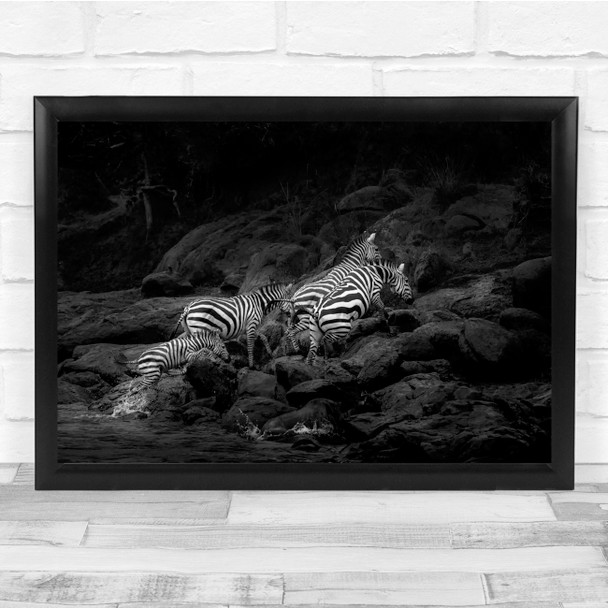 Kenya Zebras Animals Wildlife Black & White nature Wall Art Print