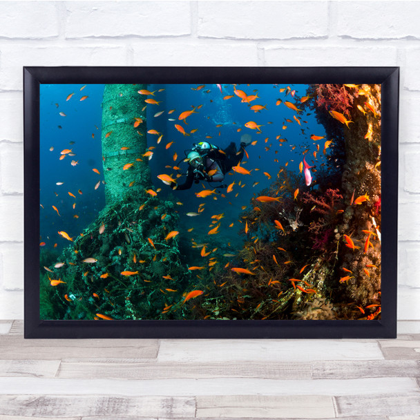 Sea scape Sea diving scuba orange fish clear water Wall Art Print