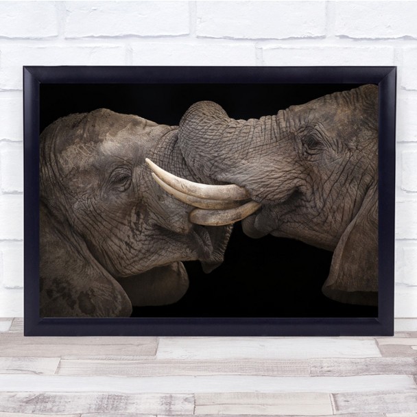 Africa Behaviour Clash Elephant Giant Interaction Wall Art Print