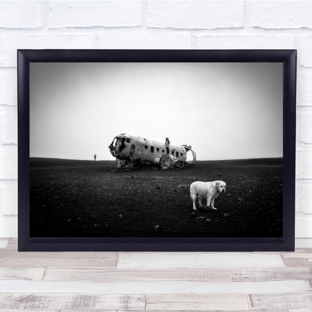 Dog Iceland Plane Wreck Monochrome My Sightseeing Wall Art Print