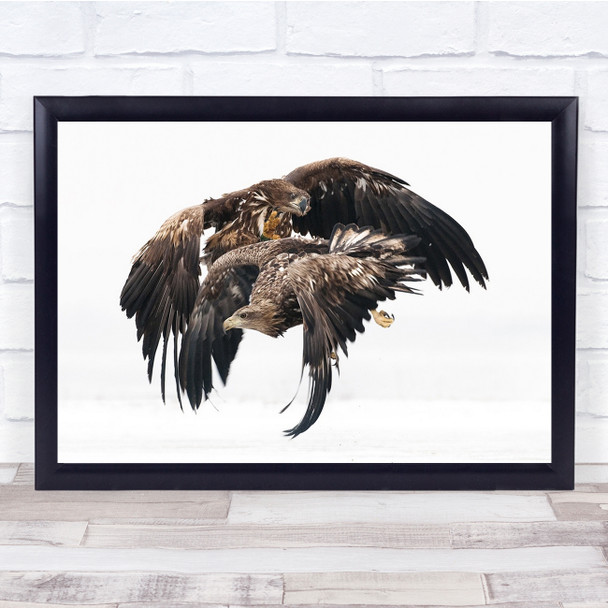 Eagle Flight Birds National Park Hungary Wildlife Wall Art Print