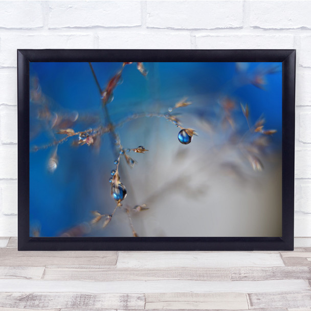 Macro Droplets Water Blue Bokeh Blurry Sky Plants Wall Art Print