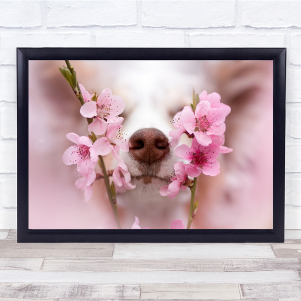 Pink chihuahua Nose Dog Dogs Scent Smell Fragranc Wall Art Print