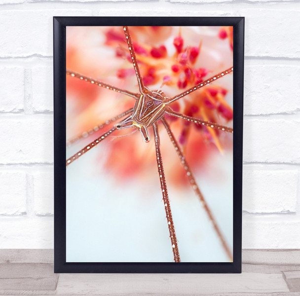 Underwater Flower Insect Toned Red Pink Eyes Snow Wall Art Print