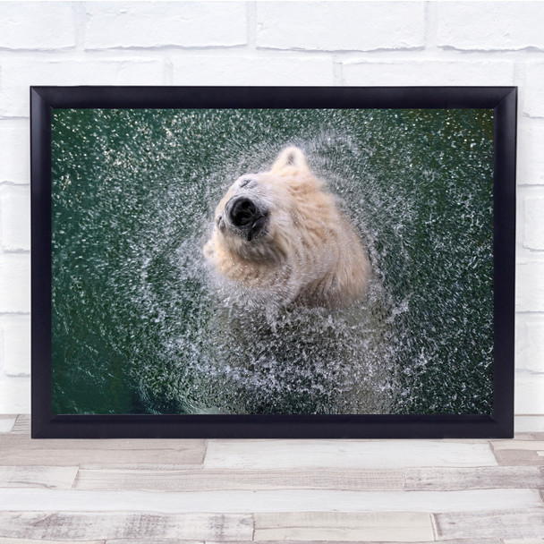 Polar Bears Water Animals Spray Splash Freshness Wall Art Print