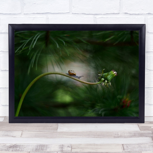 Snail Flower Green Macro Bokeh Shell Forest Nook Wall Art Print