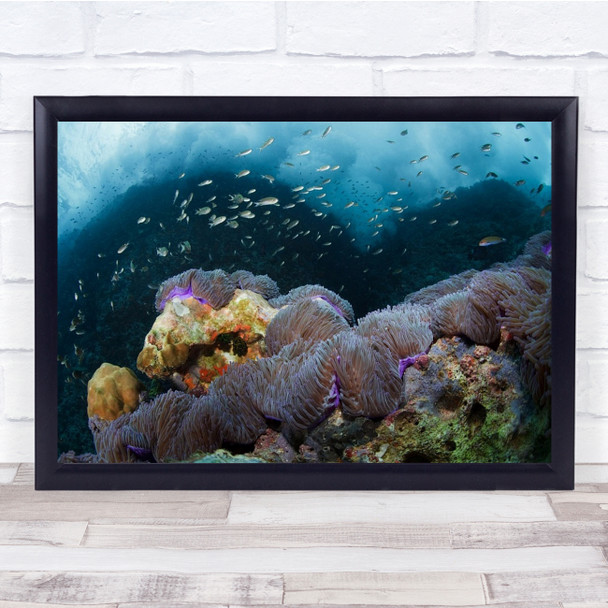 Thailand Reef Sail Rock Coral Underwater Anemone Wall Art Print