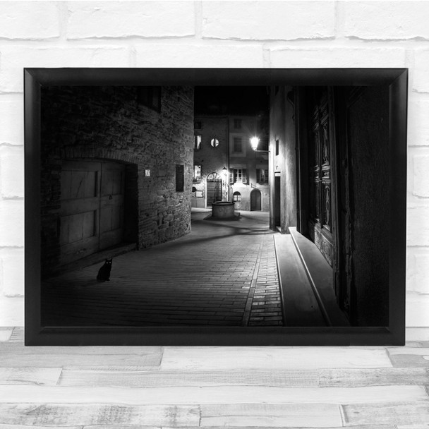 Curious Cat Street Black White Streetlight Dark Wall Art Print