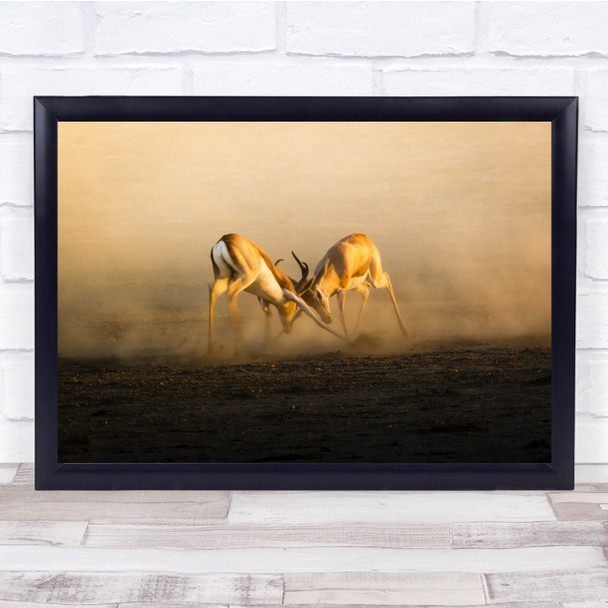 Fight Wildlife Gazelle Antelope Combat Struggle Wall Art Print