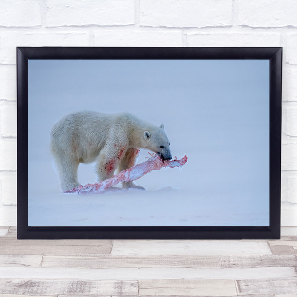 Landscape Polar Bear in Snow Eating Dead Animal Wall Art Print