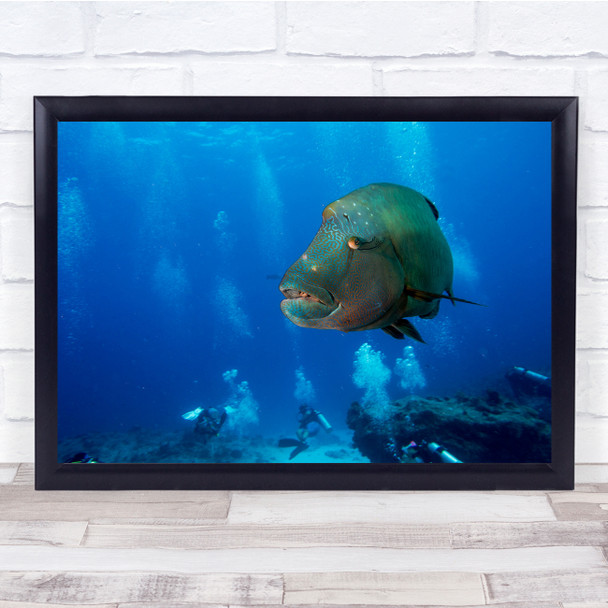 Seascape big fish blue ocean animal scuba diver Wall Art Print