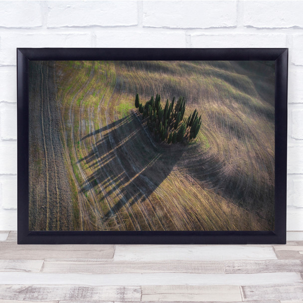 Aerial Above Landscape Trees Agriculture Field Wall Art Print