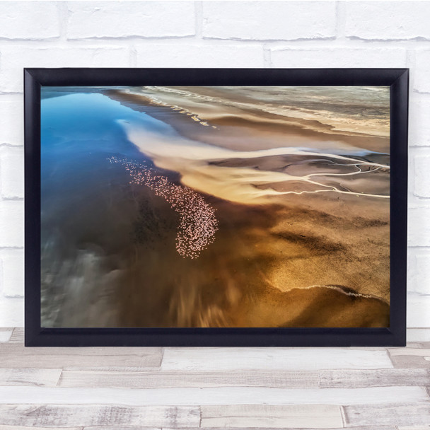 Aerial Flamingo Lake Wildlife Bird Flying Over Wall Art Print