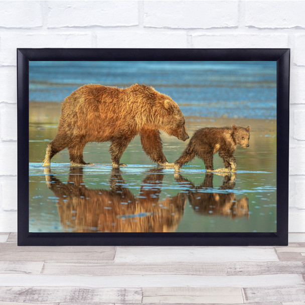 Bear Brown Wildlife Nature Animals Beach Coast Wall Art Print