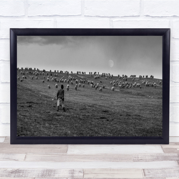 Herd of Sheep shepherd on hill animals freedom Wall Art Print