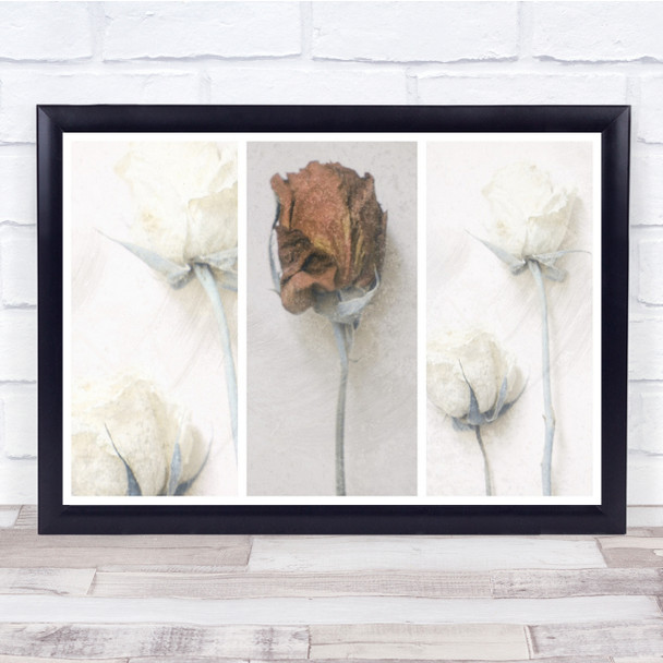 Memories Of Modest Emotion flowers rose floral Wall Art Print