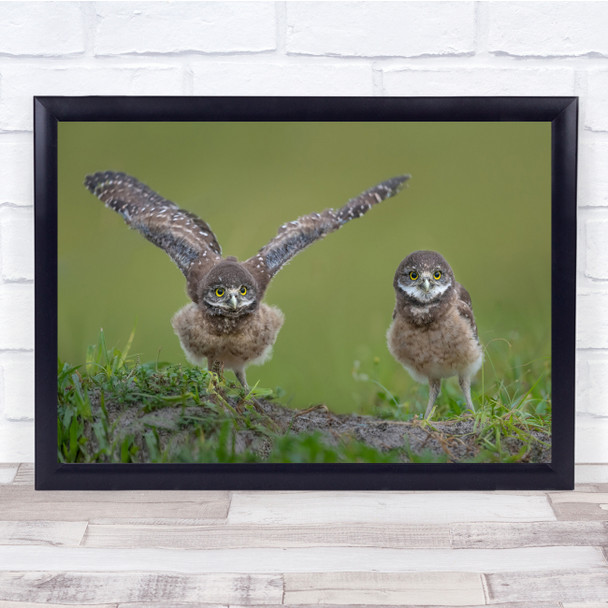 Owls Little Wings Bokeh Wildlife Nature Animal Wall Art Print