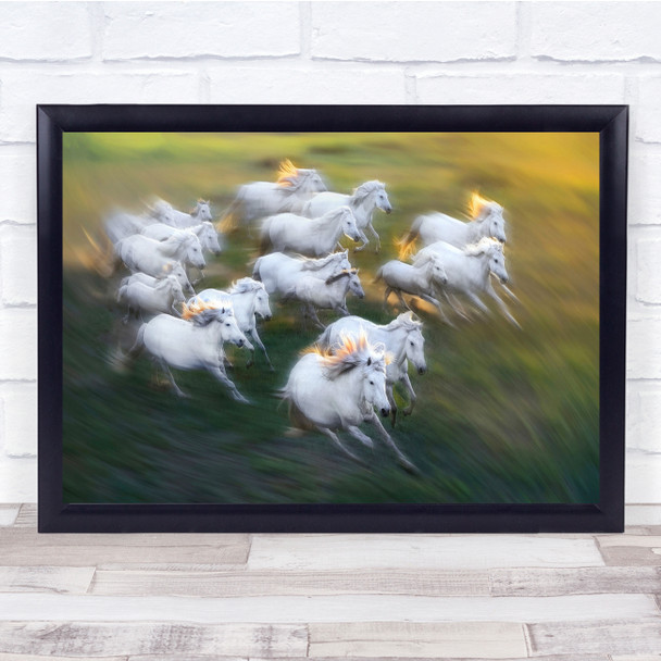 Panoramic Horses Motion Blur Action Flock Herd Wall Art Print