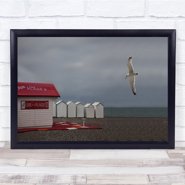 Seagull Treport Birds Beach North Sandy Flying Wall Art Print