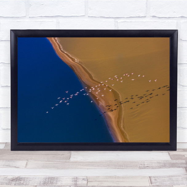 Shadow Flock Bird Migration Flamingos Wildlife Wall Art Print