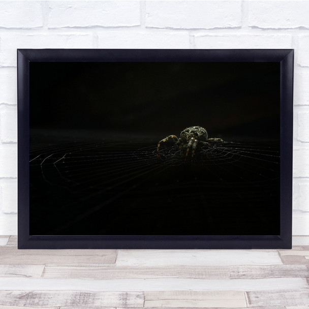 Spider Web Dark Insect Net Ambush Bug Close Up Wall Art Print