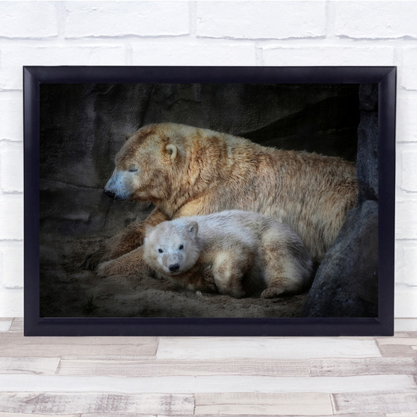 Bears Zoo Animals Cub Cute Mother baby nature Wall Art Print