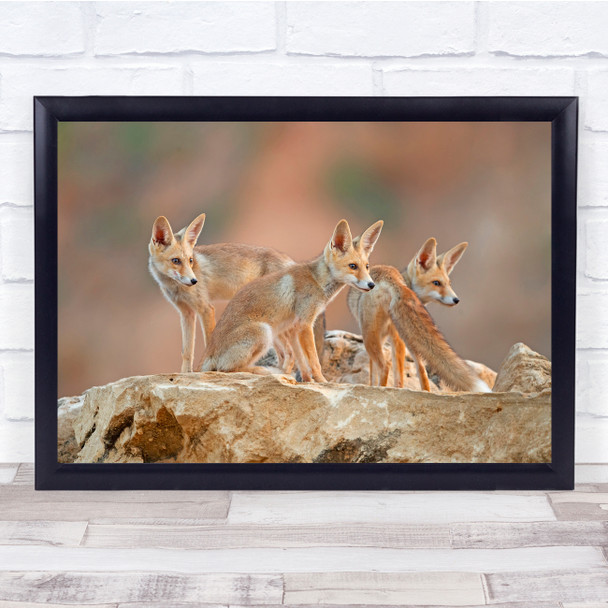 Foxes Wildlife Nature Animal Group Young Cute Wall Art Print