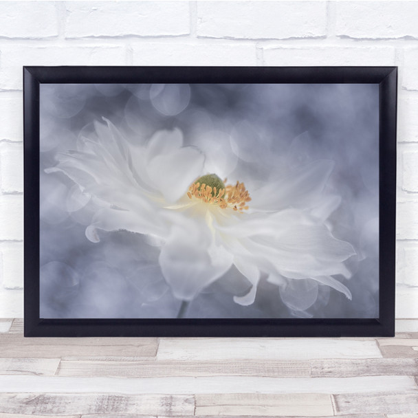 Macro Anemone White Bokeh Flora Dreamy Flower Wall Art Print