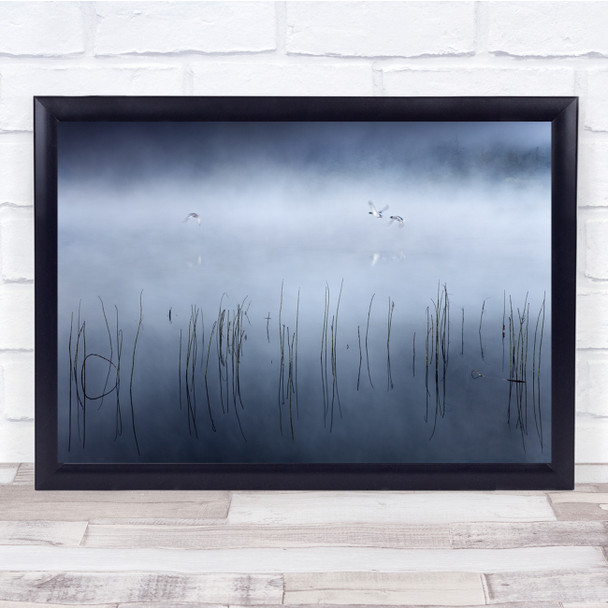 Mist Lake Morning Duck Birds Landscape Flight Wall Art Print