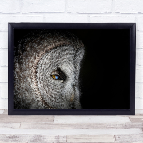 Owls Face Eye Animal close up nature wildlife Wall Art Print