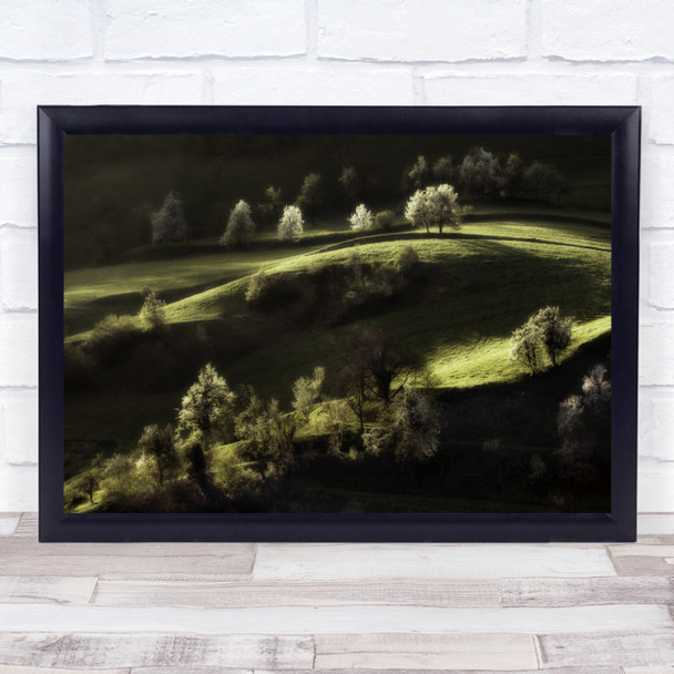 Slovenia Landscape Trees Foliage Light Shadow Wall Art Print