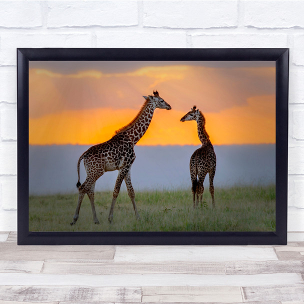 Sunset Family Giraffes Wildlife Nature Animal Wall Art Print