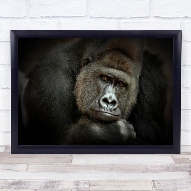Animal Gorilla Face nature wildlife portrait Wall Art Print