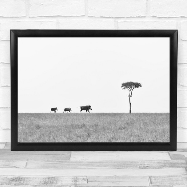 Boars Wild Black & White Tree Lonely Animals Wall Art Print