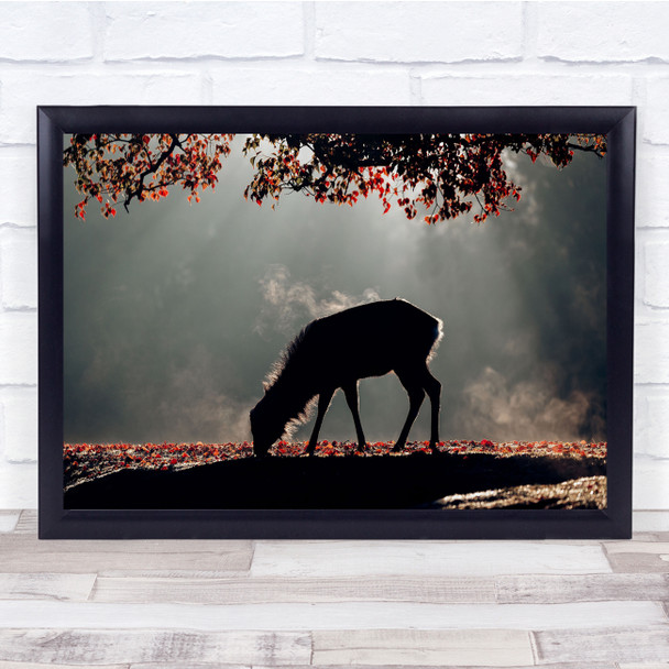 Deer Wildlife Animal Japan Autumn Spot Light Wall Art Print